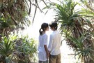 ２つ目の窓