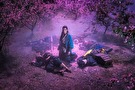 レジェンド・オブ・ドラゴンテイマー／降龍十八掌