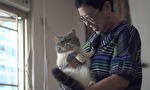 我が心の香港、映画監督アン・ホイ