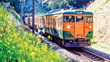 国鉄近郊形電車113系・115系～東日本篇～