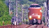 国鉄特急形電車381系 やくも 最終章