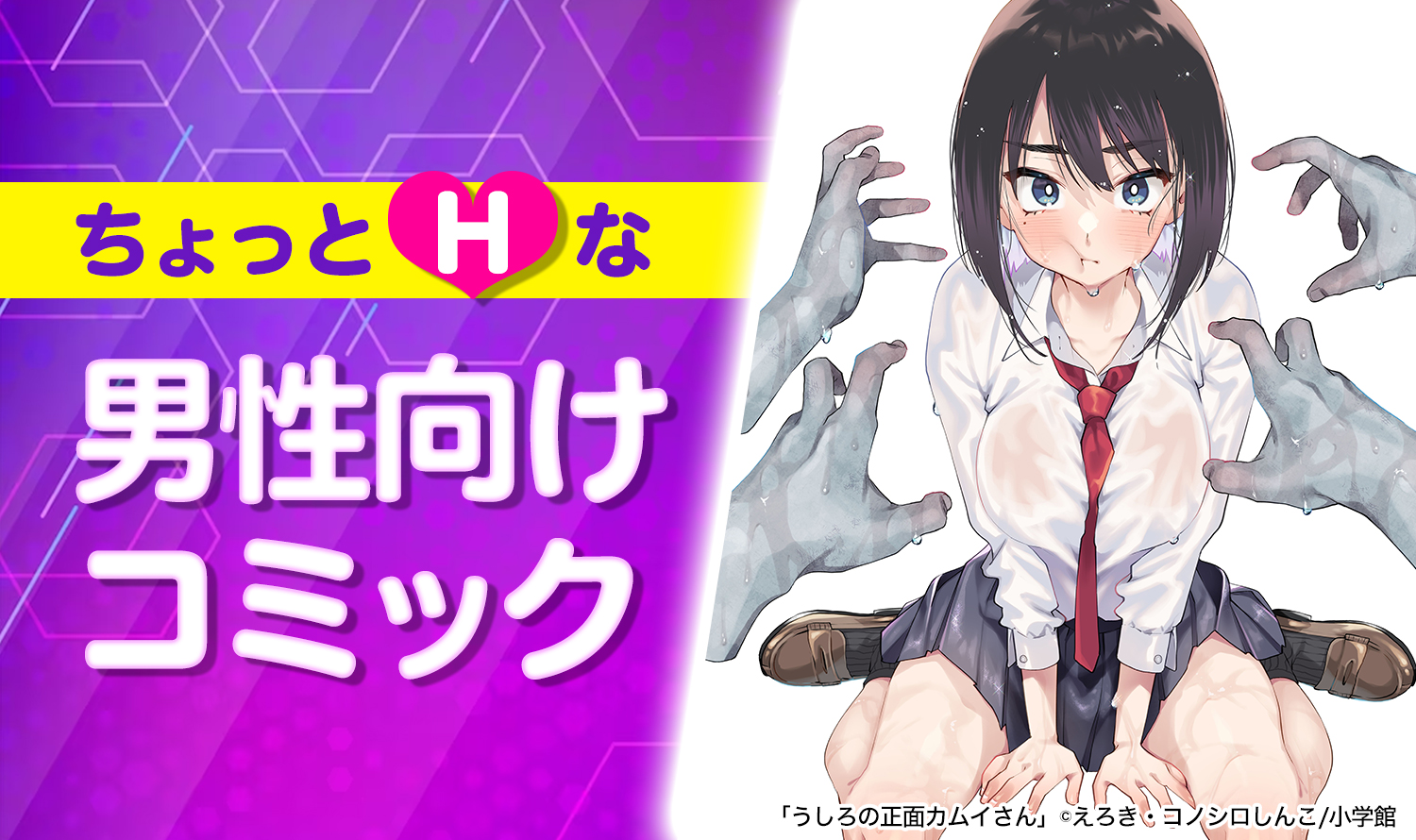 ちょっとHな男性向けコミック