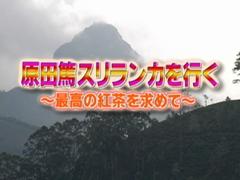 原田篤　スリランカを行く！　＃３