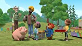 パディントンのぼうけん セカンドシーズン　第２３話　ハロウィーンには幽霊がつきもの／ペットショーの優勝者はだれ？