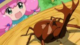 てーきゅう　４期　第４７話　【第４７面 】先輩とバグズ・ライフ