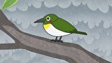 はなかっぱ　第６１９話　「はなかっぱ、歌手デビュー！?」
