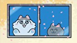 ンめねこ　第１話　#01「おはなみおいしい」