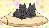 百姓貴族 3rd Season　３１頭目 犬猫万歳
