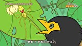 ざんねんないきもの事典 第4シリーズ　第１話　#1
