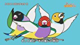 ざんねんないきもの事典 第4シリーズ　第２話　#2