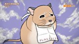 ざんねんないきもの事典 第4シリーズ　第４話　#4