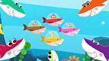 ラーバキッズ　第４３話　BABY SHARK