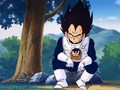 ドラゴンボールＺ　第１０２話　とことんやろうぜ！！消えゆく星に残った二人