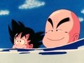 ドラゴンボール　第１８話　亀仙流きつーい修行