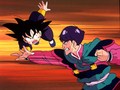 ドラゴンボール　第８０話　いざ御前試合！　悟空ＶＳ天龍