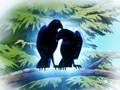 地獄先生ぬ～べ～　第２４話　魔性のＤカップ！！愛のカラス伝説