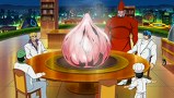 トリコ　第９６話　うまさ宇宙級！　実食メテオガーリック！