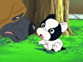 ふぉうちゅんドッグす　第５話　『迷子のフレディー』