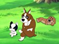 ふぉうちゅんドッグす　第１２話　『コッコの選んだ道』