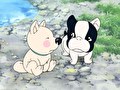ふぉうちゅんドッグす　第１７話　『怒ったマックス』