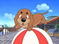 ふぉうちゅんドッグす　第１９話　『これがシバタの生きる道！？』