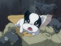 ふぉうちゅんドッグす　第３３話　『勇気をくれた友達』