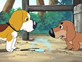 ふぉうちゅんドッグす　第３６話　『守り石の秘密』