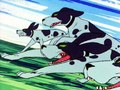 ガンバの冒険　第１４話　襲いかかる猟犬の群れ