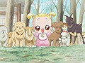 も〜っと！おジャ魔女どれみ　第４７話　ハナちゃんの大冒険