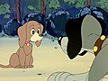 ひみつのアッコちゃん（第１作目）　第７９話　負けてたまるか！ワンワンくん