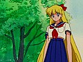 美少女戦士セーラームーンＳ　第１１話　Ｓ戦士をやめたい！？美奈子の悩み