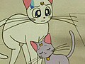 美少女戦士セーラームーンＳｕｐｅｒＳ　第６話　アルテミスの浮気？　謎の子猫登場
