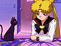 美少女戦士セーラームーン・セーラースターズ　第２４話　明かされた真実！　セイヤ達の過去