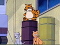 ひみつのアッコちゃん（第３作目）　第５話　仁義なき猫戦争！
