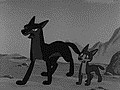 狼少年ケン　第４４話　狼のおきて