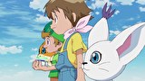 デジモンアドベンチャー：　第５８話　ヒカリ　新たな命