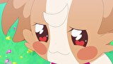わんだふるぷりきゅあ！　第６話　こむぎ、いろはとケンカする