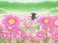 ののちゃん　第５７話　「幸せのコスモス畑」「台風がくるぞ」「初恋はおはぎの味」