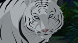 科学×冒険サバイバル！第2シリーズ　第１２話　ナイトサファリのサバイバル　その1