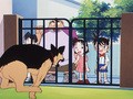 名探偵コナン　第１シーズン　第２６話　愛犬ジョン殺人事件