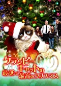 グランピーキャットの最低で最高のクリスマス