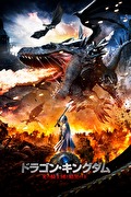 ドラゴン・キングダム　光の騎士団と暗黒の王