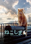 ねこしま