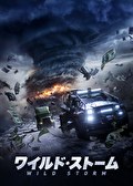 ワイルド・ストーム
