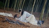 雪上恋歌 ～天に刻まれた悠久の愛～　第８話　幻覚キノコと義賊