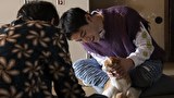 ねこ物件　第７話　猫は道に迷わない