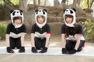 侵略！ガルパンダZ　第１話　便乗だ！ガルパンダＺ