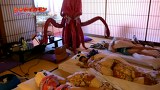 侵略！ガルパンダZ　第１７話　卓球温泉に地獄をみた！
