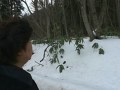 リサーチＸ　恐怖の霊能力