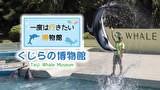 一度は行きたい博物館 くじらの博物館